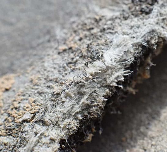 Asbestos Removal — Fibre Optic Installation in Brisbane, QLD